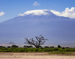 Tanzania vacation packages all inclusive 2026