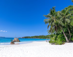 Affordable Zanzibar Honeymoon Itinerary