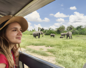 best travel companies for Africa