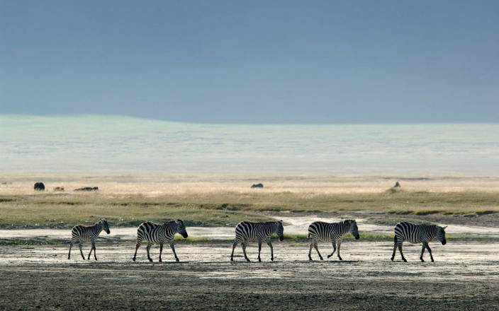 5-Day Ndutu Calving Season with Ang'ata Camp