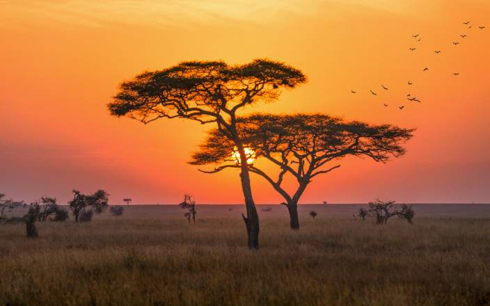 7-Day Serengeti Migration Safari with Nyota Luxury Camp