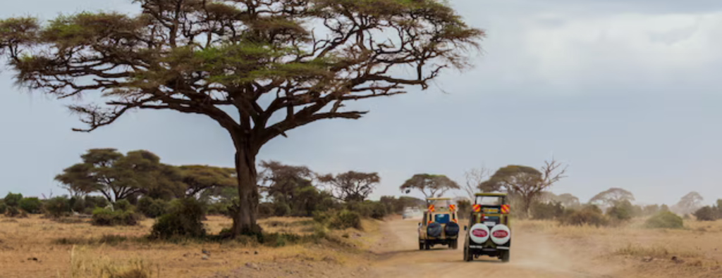 Best Safari Companies in Tanzania