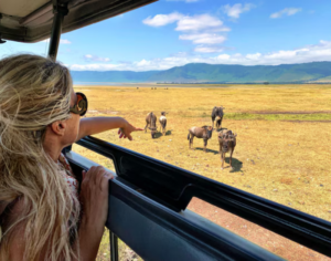 Kenya and Tanzania Safari