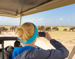 Kenya and Tanzania Safari