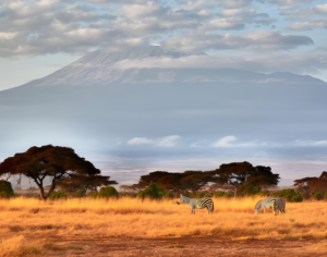 Kilimanjaro Trekking Packages