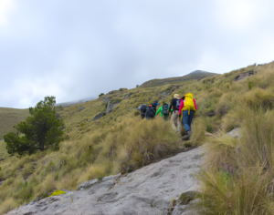 Kilimanjaro Trekking Routes