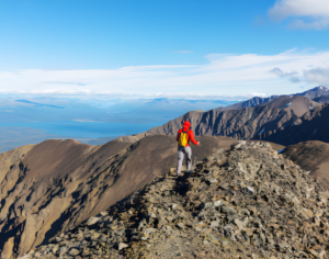 Kilimanjaro Trekking Tour