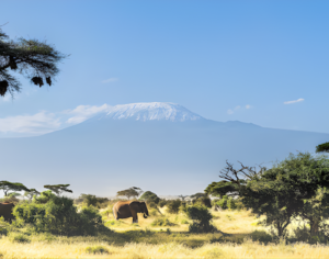 Mt Kilimanjaro Trekking Tours