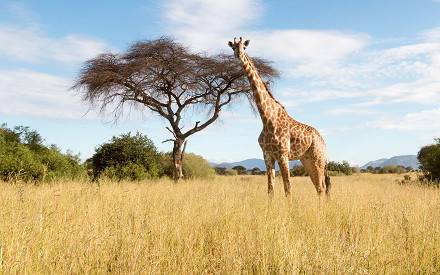 Cheapest Countries to Visit in Africa