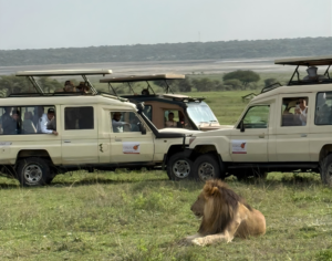 Serengeti National Park Tanzania Safari