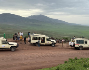 Serengeti National Park Tanzania Safari