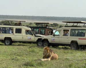 Serengeti National Park Tanzania Safari