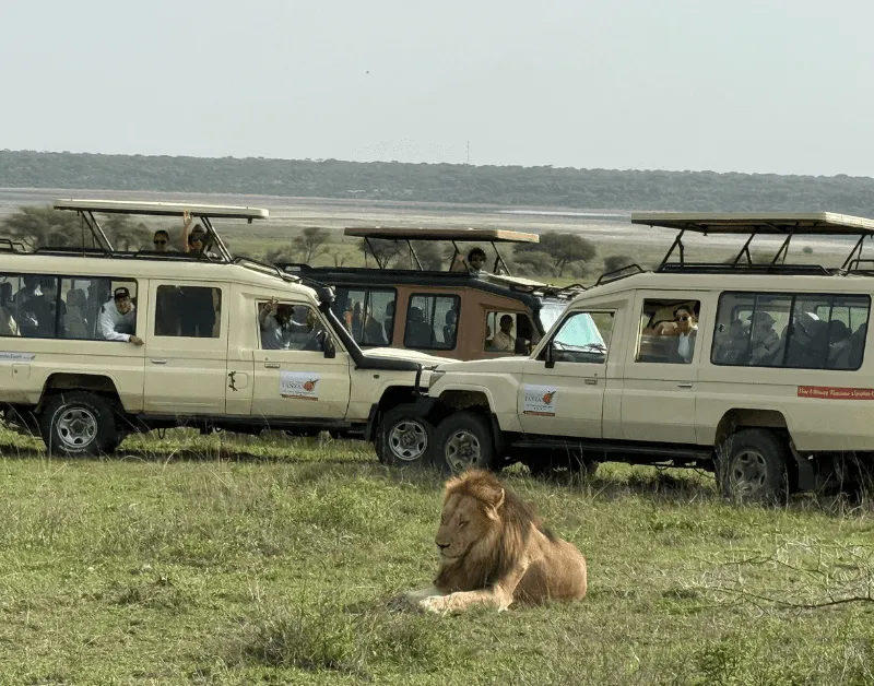 Parco Nazionale del Serengeti