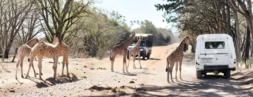 Tanzania Zanzibar Safari