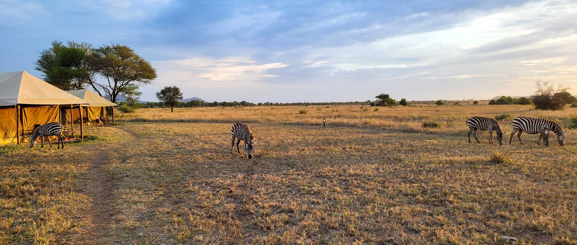 Zawadi Serengeti Tented Camp