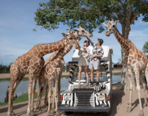 best safari lodges in tanzania