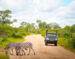 best tanzania safari