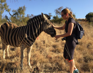 best time for african safari tanzania