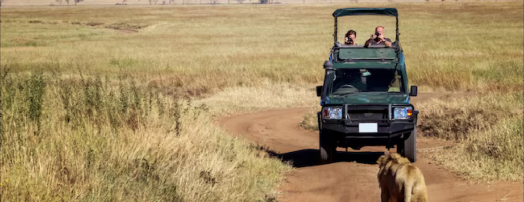 best time for tanzania safari