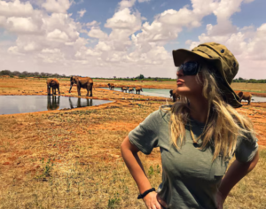 best time for tanzania safari
