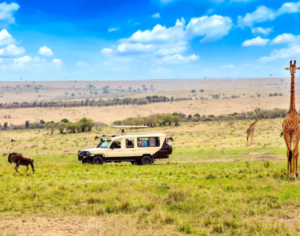 best tour companies for Africa