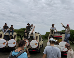 tanzania safari and zanzibar