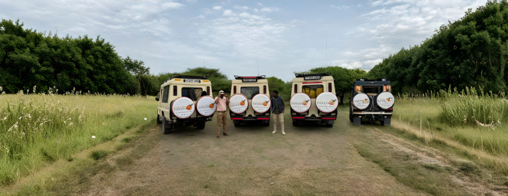 tanzania safari and zanzibar