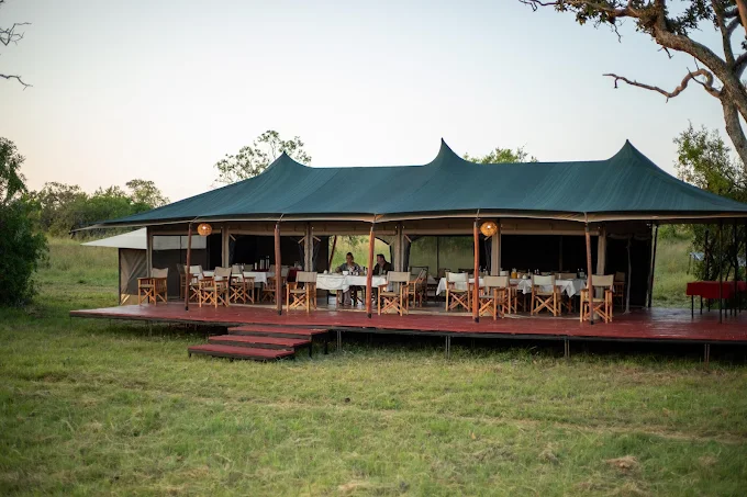 Untamed Migration Camp