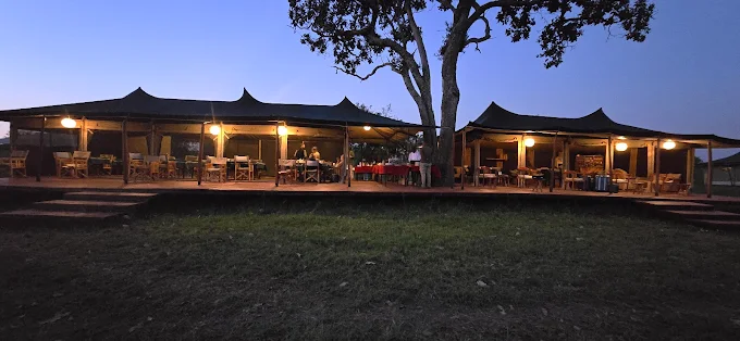 Untamed Migration Camp