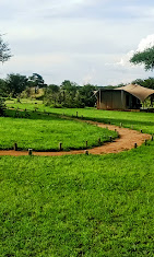 Anantya Serengeti Tented Camp