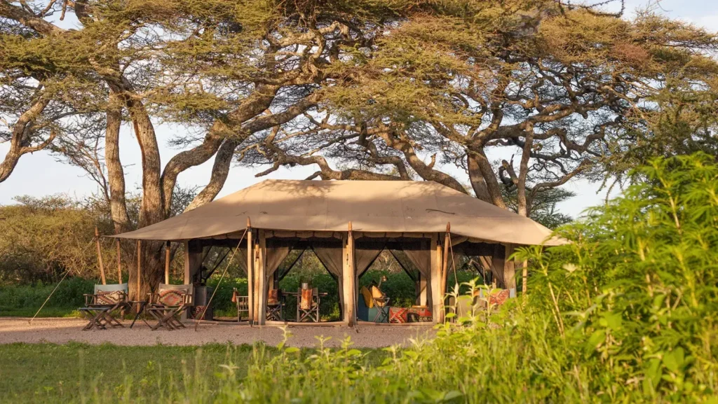 Nyasi Tented Camp