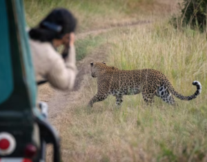 Cheap Tanzania Safari Tours