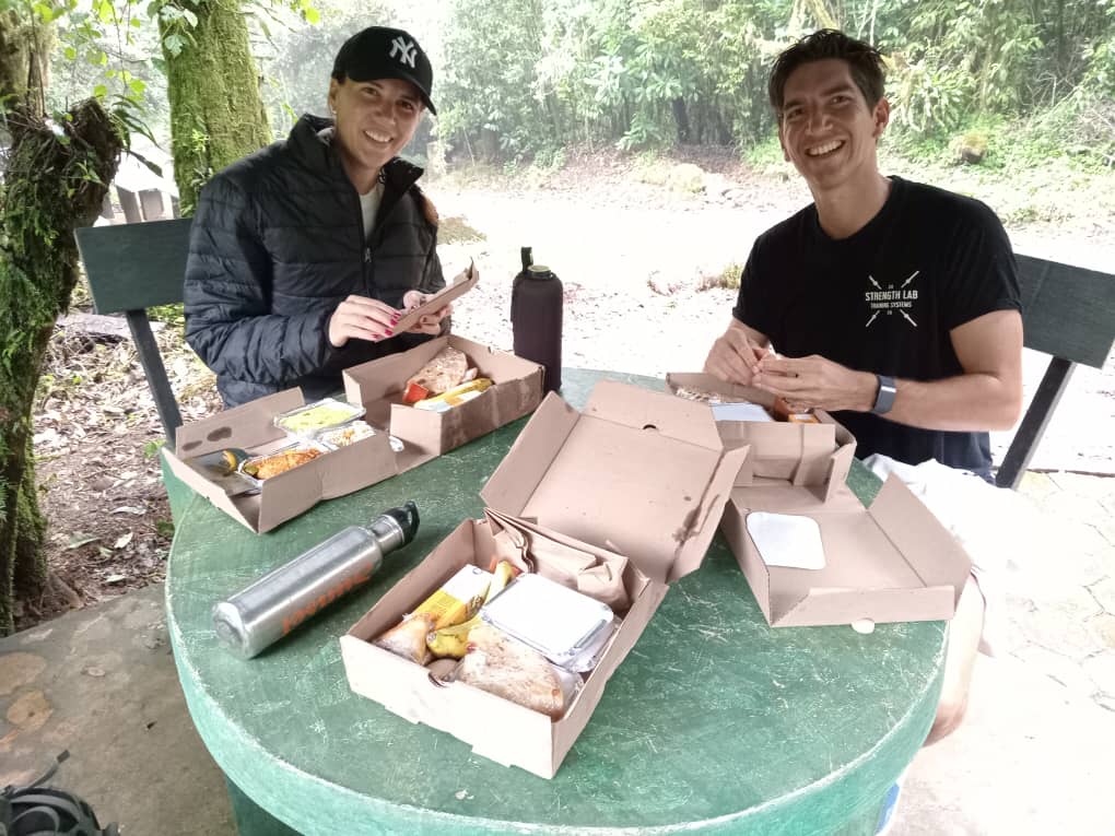 Full-Day Safari with Picnic Lunch