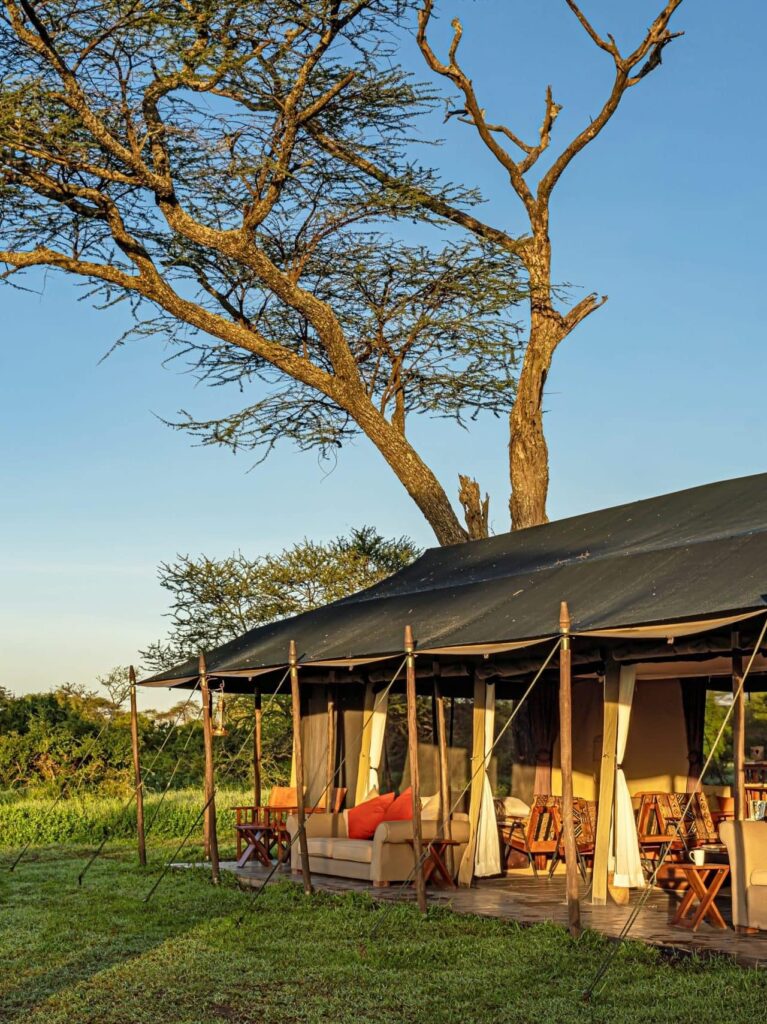 Lemala Mara and Ndutu Camp