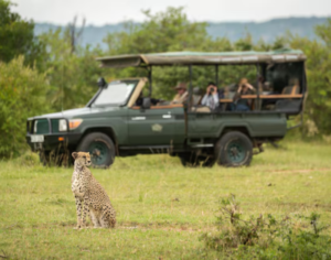 Luxury Tanzania Safari Tours