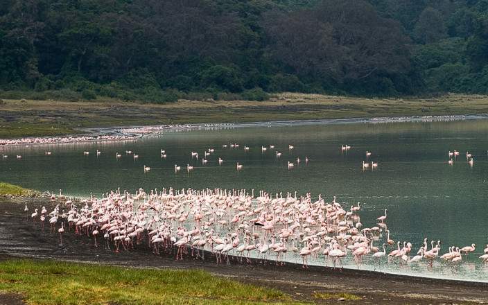 10 Days Mount Meru Climb & Northern Tanzania Safari