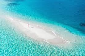 Sandbank Excursions