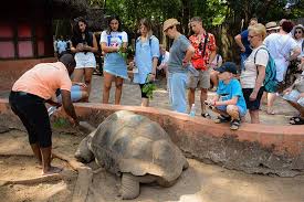 Prison Island Excursion