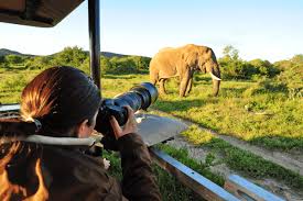 Photographic Safaris