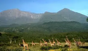Safari a pie en el Parque Nacional de Arusha