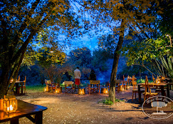 Soroi Mara Luxury Migration Camp