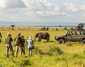 safari tour operators in tanzania
