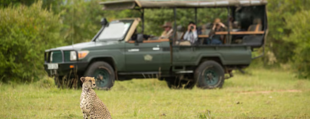 tanzania safari private tours