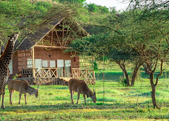 Birthday Celebration at Serval Wildlife