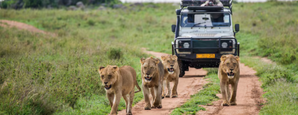 Tanzania Safari Zanzibar Package