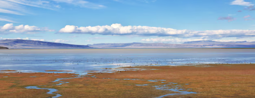 Where lake natron located
