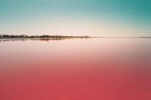 Why Lake Natron Is Red