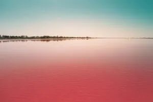 ¿Por qué el lago Natrón es rojo?