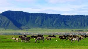 Ngorongoro Conservation Area Luxury Style – Day Trip