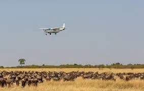 Parco Nazionale del Serengeti